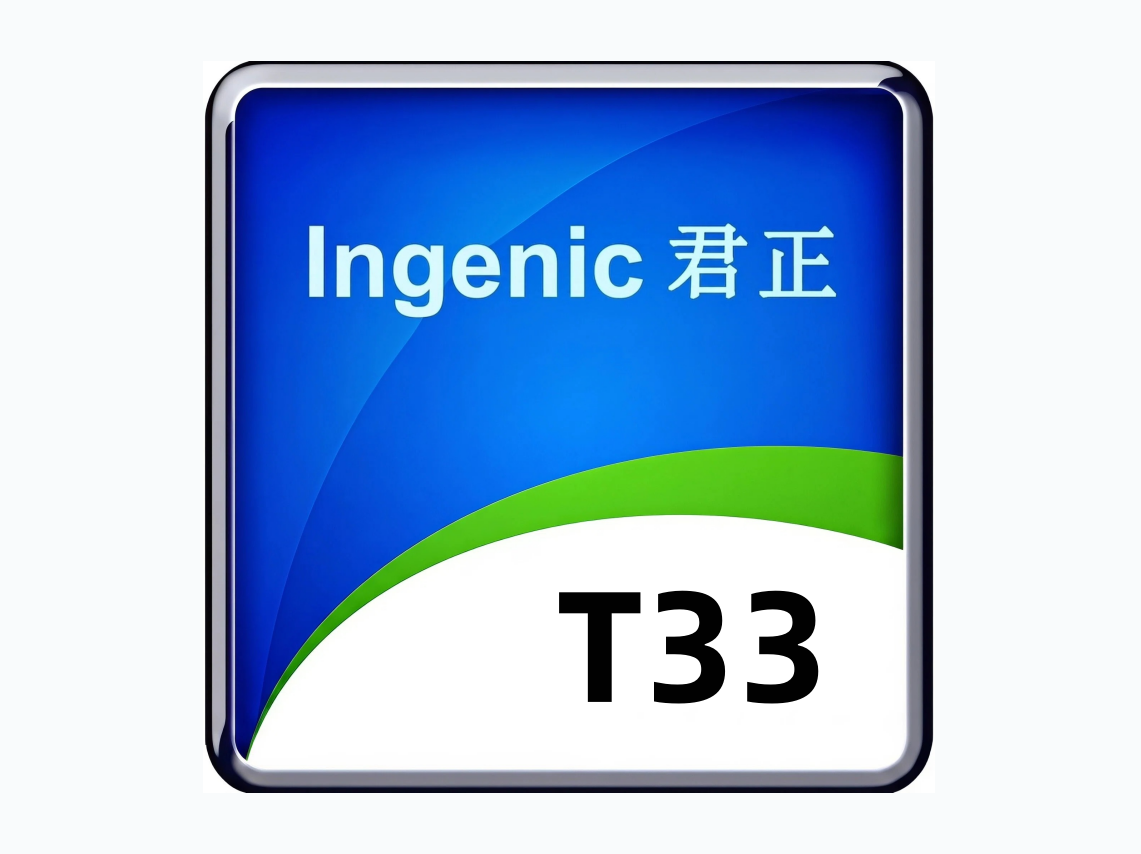T系列芯片